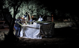 Bursa'da zeytinlikte erkek cesedi bulundu