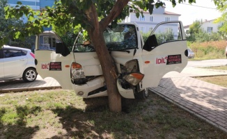 Bursa'nın İnegöl ilçesinde ağaca çarpan kamyonetin sürücüsü yaralandı