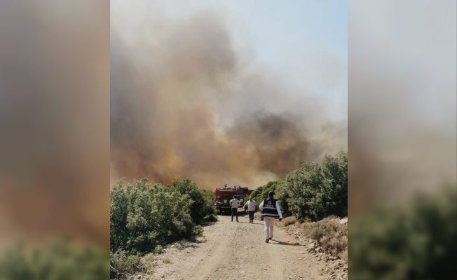 Çanakkale'nin Ezine ilçesinde ormanlık alanda çıkan yangına müdahale ediliyor