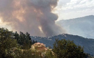 Cezayir’deki orman yangınlarında 42 ölü!