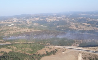 Balıkesir'in Savaştepe ilçesinde orman yangını çıktı