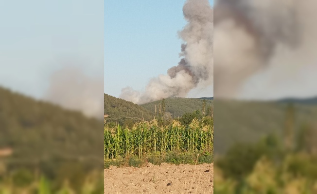GÜNCELLEME - Bursa'da çıkan orman yangını havadan ve karadan müdahaleyle kontrol altına alındı
