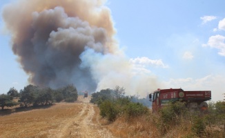 Çanakkale'nin Bayramiç ilçesinde çıkan orman yangınına havadan ve karadan müdahale ediliyor