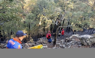 Kazdağları'ndaki yangın bölgesinde kayalıklardan düşen orman işletme şefi yaralandı