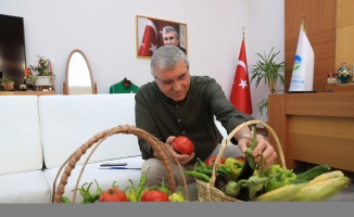 Sakarya Büyükşehir Belediyesinin yetiştirdiği ata tohumları ilk mahsullerini verdi
