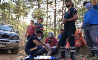 Sakarya İl Sağlık Müdürlüğü ekipleri, yangın bölgelerinde yaraları sarıyor