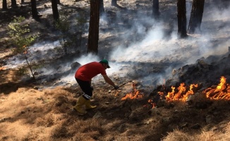 Türkiye’deki orman yangınlarında yeni risk