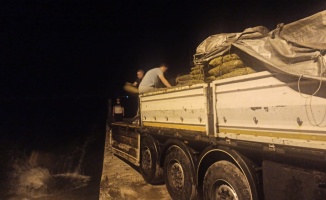 Yalova'da tırda 44 ton kaçak midye ele geçirildi