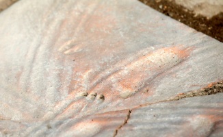 Assos kazılarında bir bebeğe ait 1300 yıllık ayak izleri bulundu