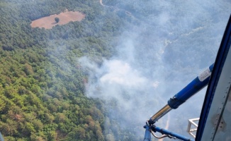 Balıkesir'de çıkan orman yangınına havadan ve karadan müdahale ediliyor