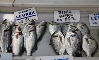 Denizlerdeki balık bolluğu Tekirdağ'da tezgahlarda çeşitliliği arttırdı