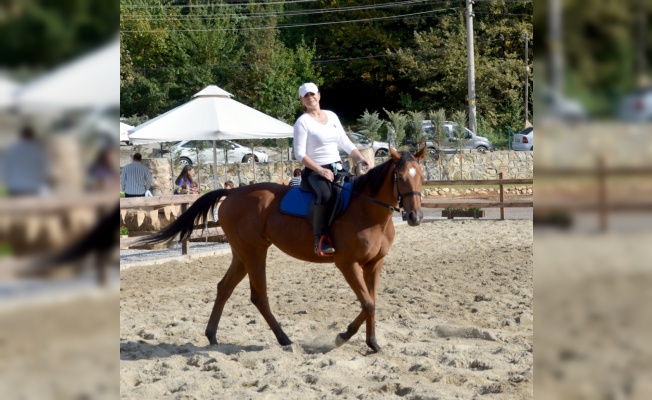 Karamürsel'de at çiftliği açıldı