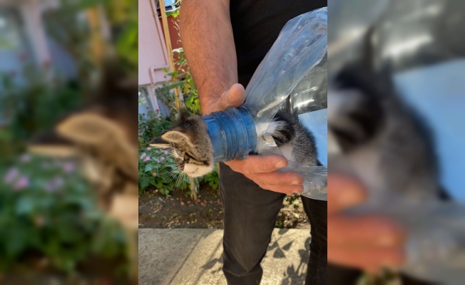 Kırklareli'nde başı pet şişeye sıkışan yavru kediyi itfaiye kurtardı