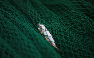 Kıyıköylü balıkçıların ağına sezonun ilk gününde istavrit takıldı