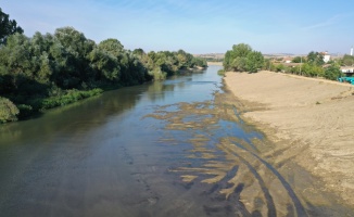 Meriç gibi Tunca Nehri'nde de kuraklığın etkisi görülüyor