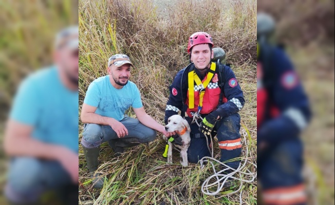 Sakarya'da kuyuya düşen av köpeğini itfaiye ekipleri kurtardı