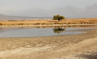 Enez'de kuruyan lagün göllerine su verildi
