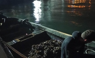 İzmit Körfezi'nde yasa dışı avlanan 150 kilogram midye denize bırakıldı