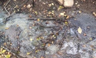 Kırklareli'nde bir çiftlikten Teke Deresi'ne atık bırakıldığı iddiasına inceleme