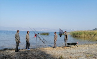Kocaeli'de amatör balıkçılar en büyük balığı tutmak için yarışıyor