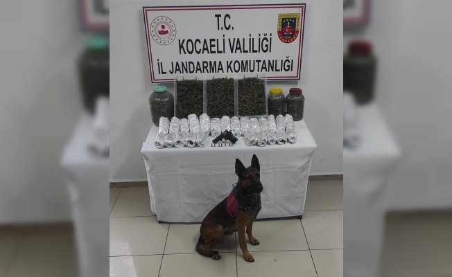 Kocaeli'de uyuşturucu operasyonunda bir şüpheli tutuklandı