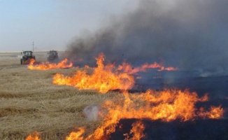Sakarya Büyükşehir, anız yangınlarına karşı uyarı yapıyor