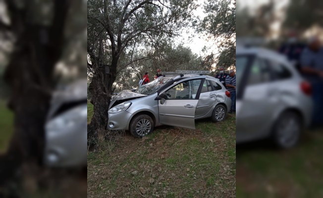 Balıkesir'de ağaca çarpan otomobildeki 3 kişi yaralandı