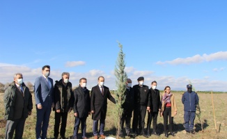 Bandırma'da Milli Ağaçlandırma Günü'nde bin fidan toprakla buluşturuldu