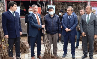 Bursa'da Harmancık 'ayva' ile markalaşacak