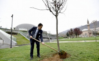 Bursa Osmangazi'de ağaçlandırma çalışması yapıldı 