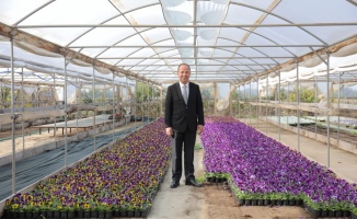 Edirne'de belediye seralarında yetişen çiçekler toprakla buluşacak