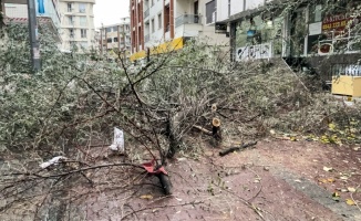 GÜNCELLEME 2 - İstanbul'da tam fırtına etkili oluyor
