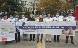 Hayvanseverlerden Kadıköy Belediye Başkanı Odabaşı'na dilekçe