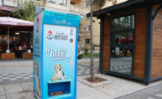 Kırklareli'nde sokak hayvanları için 'Mamamatik' uygulaması başladı