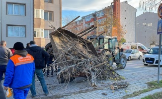Edirne'de kamyon ile traktörün çarpıştığı kazada 1 kişi yaralandı