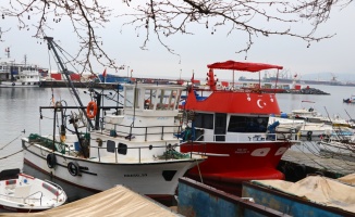 Tekirdağlı balıkçılar havanın normale dönmesiyle yeniden denize açıldı