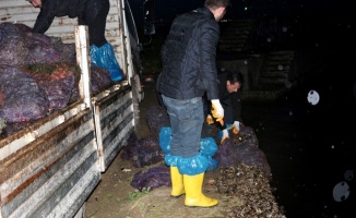 Yalova'da yasa dışı avlanan 8 ton midye ele geçirildi