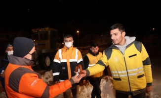 Kayseri Kocasinan'da kar temizleme çalışmaları devam ediyor 