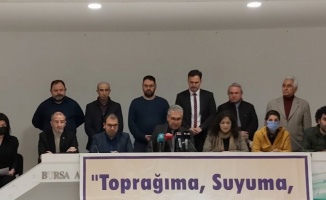 Bursa'dan 'zeytinlik alanların talanına' akademik tepki