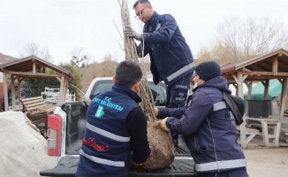 Kocaeli İzmit Belediyesi, ipekböcekçiliği  projesini genişletiyor