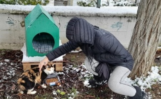 Kocaeli İzmit Belediyesi, kar nedeniyle ağaçta mahsur kalan kediyi kurtardı