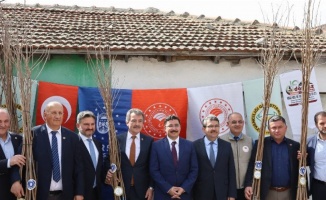 Bursa'da Mudanyalı çiftçilere Trabzon hurması fidanı dağıtıldı