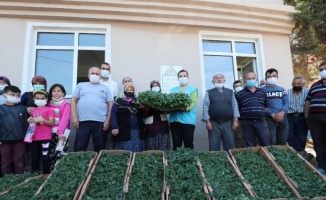 Kocaeli İzmit Belediyesi bu yıl da çiftçiye fide desteği verecek