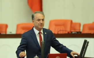 CHP'li Özkan'dan 'güvenli gıda'ya meclis araştırma önergesi