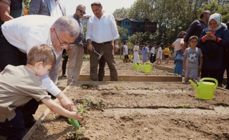 İstanbul Üsküdar'da sebze fideleri toprakla buluştu