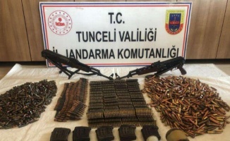 Tunceli Hozat'ta terör örgütüne darbe