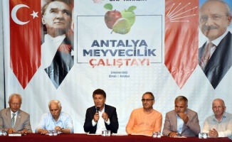 Antalya Elmalı'da CHP'den 'Meyvecilik Çalıştayı'