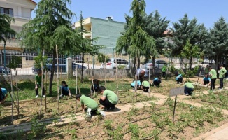 Bursa'da 5 bin öğrenciyle tarıma ilk adım