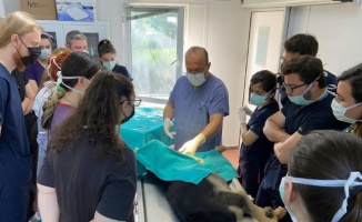 Bursa'da geleceğin veterinerlerine Osmangazi'de uygulamalı eğitim