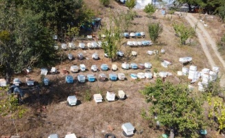 Türkiye'nin ilk 'arı borsası' Bursa Mustafakemalpaşa'da kuruluyor